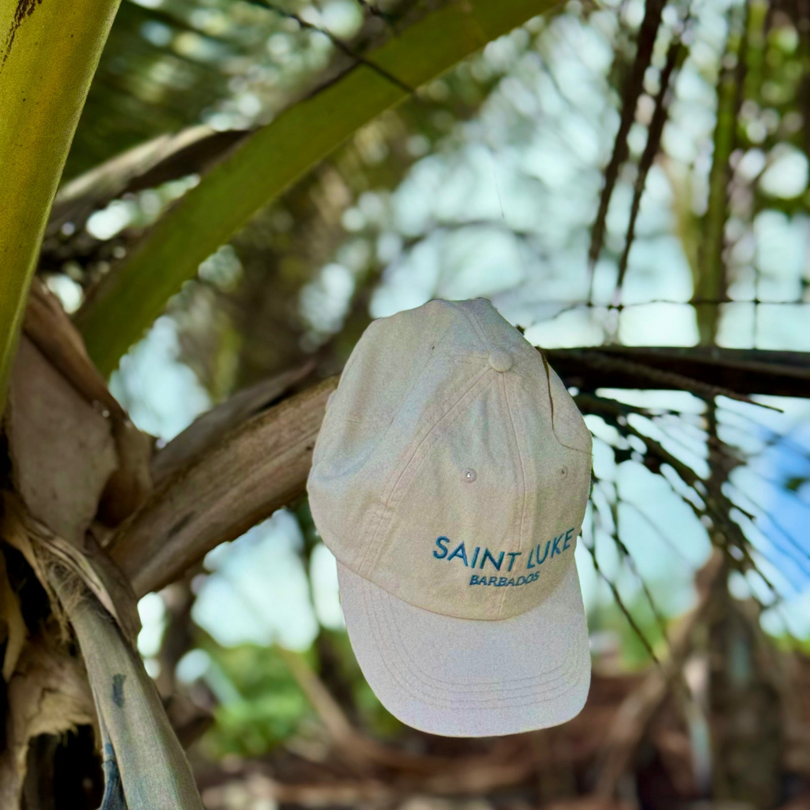 Saint Luke Barbados Ivory Dad Cap