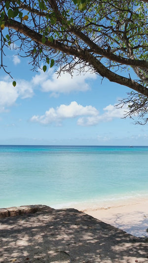 Saint Luke Coconut Trading T-Shirt