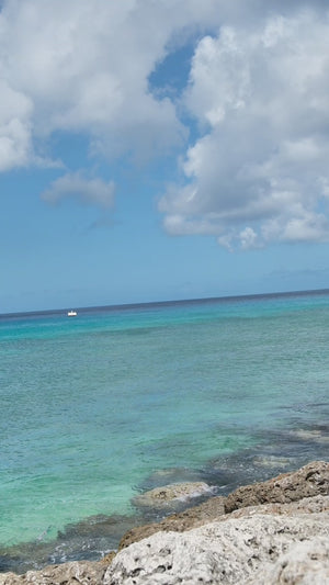 Saint Luke Anguilla T-Shirt