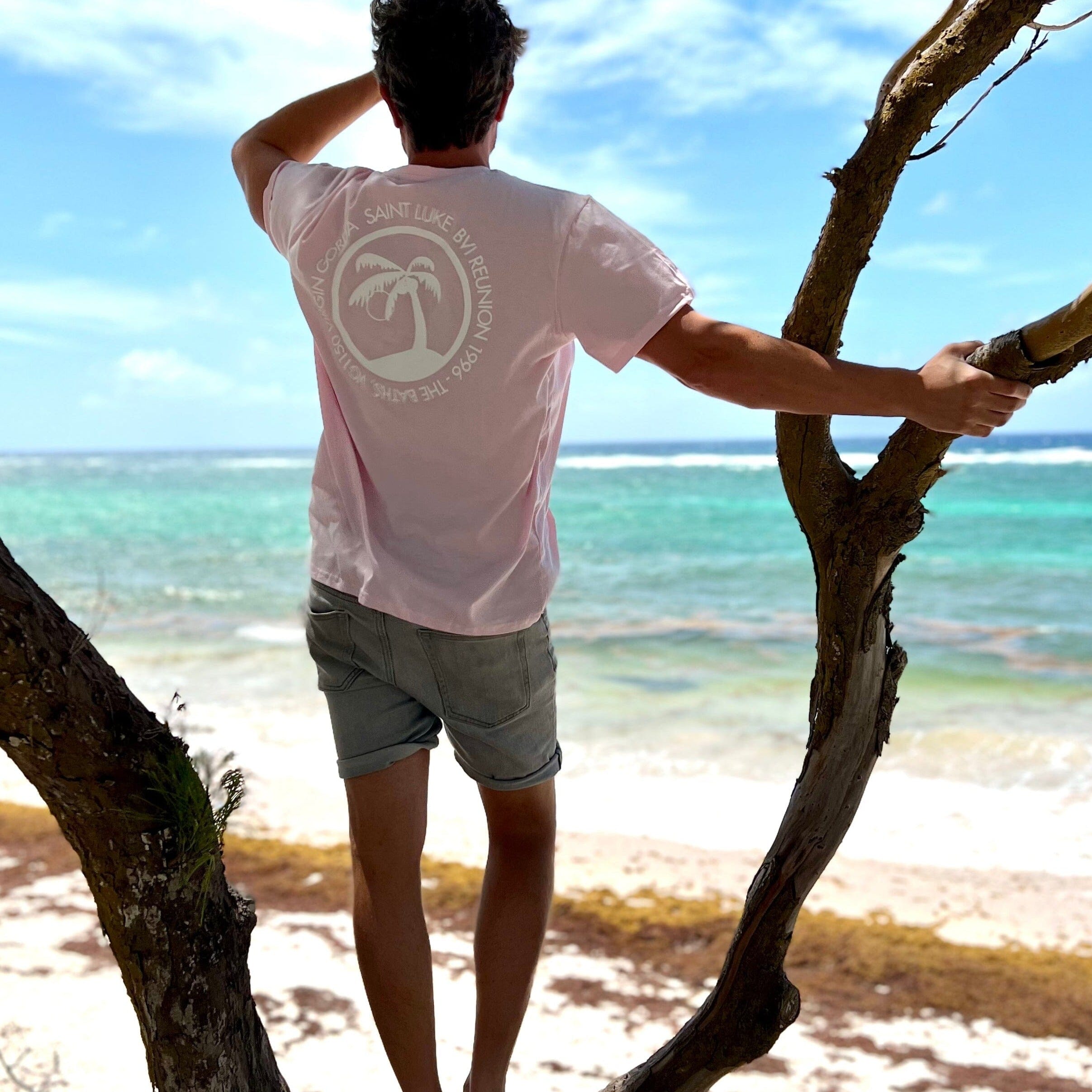 BVI Reunion T-Shirt in Sun Bleached Pink
